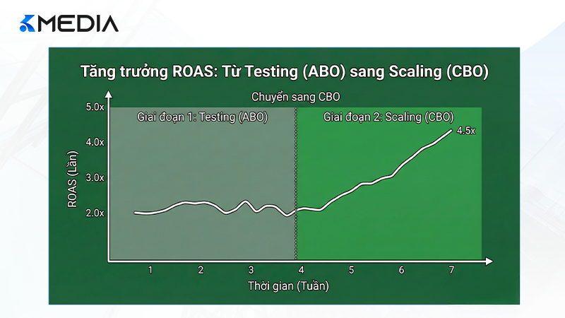 Biểu đồ tăng trưởng ROAS sau khi áp dụng chiến thuật phối hợp ABO và CBO