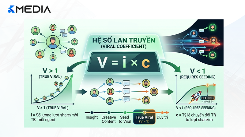 Hiểu về hệ số lan truyền giúp doanh nghiệp làm chủ cuộc chơi Viral